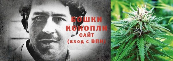 бошки Алексин