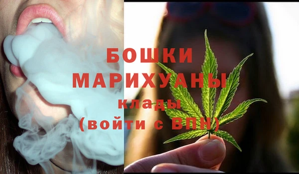 бошки Алексин