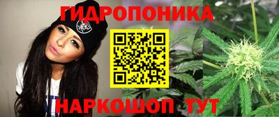 дживик Краснодар