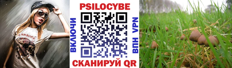 Галлюциногенные грибы мицелий цены наркотик Люберцы