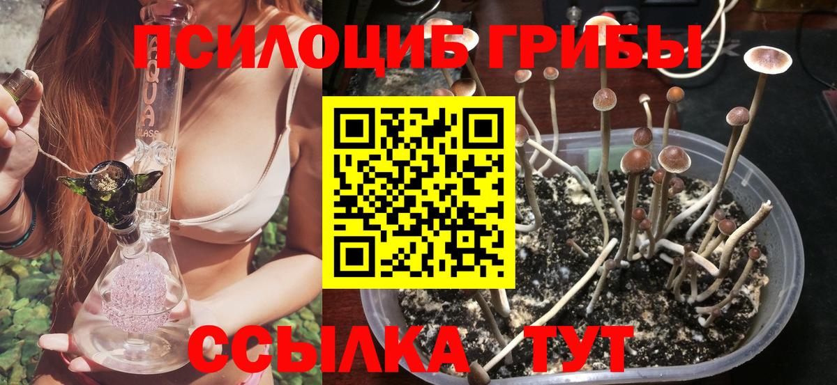 Люберцы  Псилоцибиновые грибы ЛСД  продажа наркотиков  Вход с VPN 